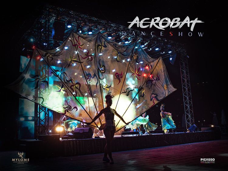 Acrobat-Party-1
